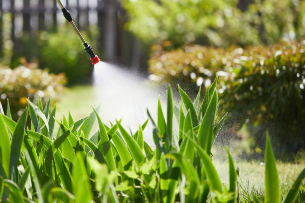 24/7 Emergency Wasp Removal experts in La Joya, TX