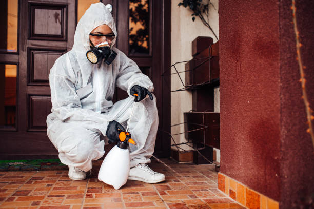 Reliable Wasp Removal contractor in La Joya, TX by Show Me Pest Control